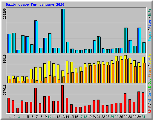 Daily usage for January 2026