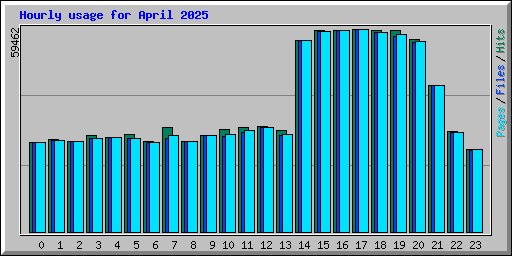 Hourly usage for April 2025