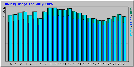 Hourly usage for July 2025