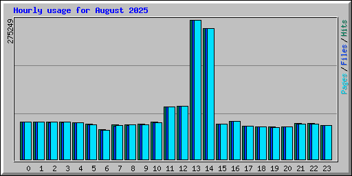 Hourly usage for August 2025