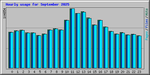 Hourly usage for September 2025