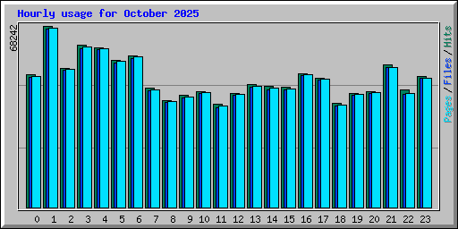 Hourly usage for October 2025