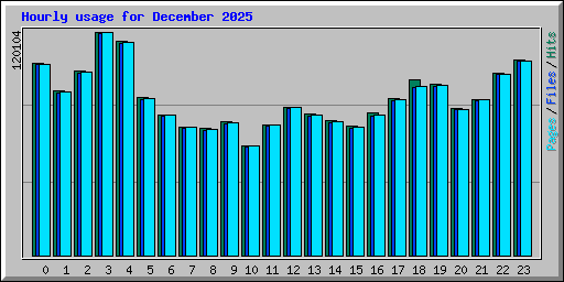 Hourly usage for December 2025