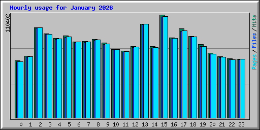 Hourly usage for January 2026