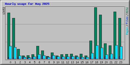 Hourly usage for May 2025