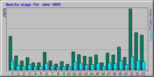 Hourly usage for June 2025