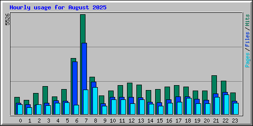 Hourly usage for August 2025
