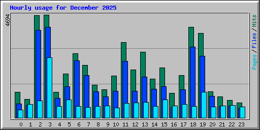 Hourly usage for December 2025
