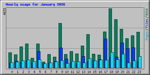 Hourly usage for January 2026