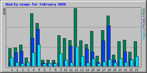 Hourly usage for February 2026