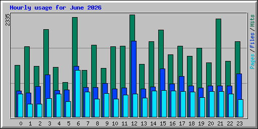 Hourly usage for June 2026