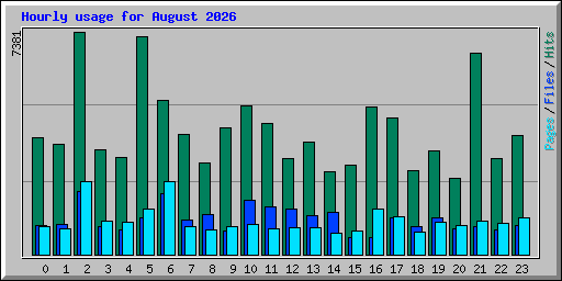 Hourly usage for August 2026