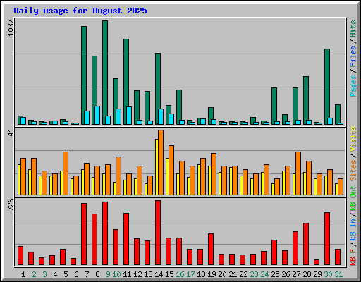 Daily usage for August 2025