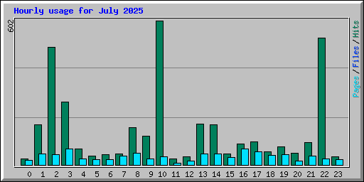 Hourly usage for July 2025