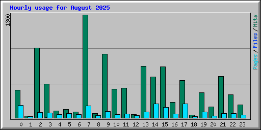 Hourly usage for August 2025