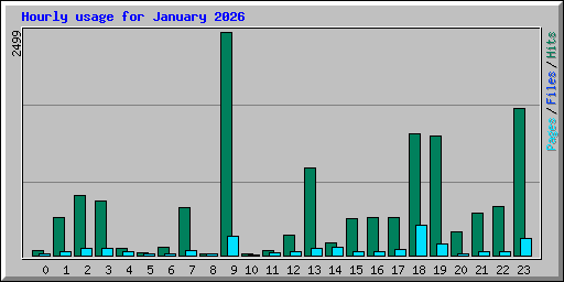 Hourly usage for January 2026