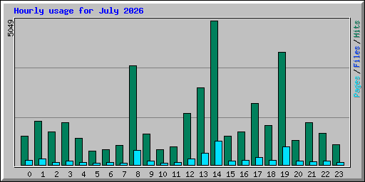 Hourly usage for July 2026