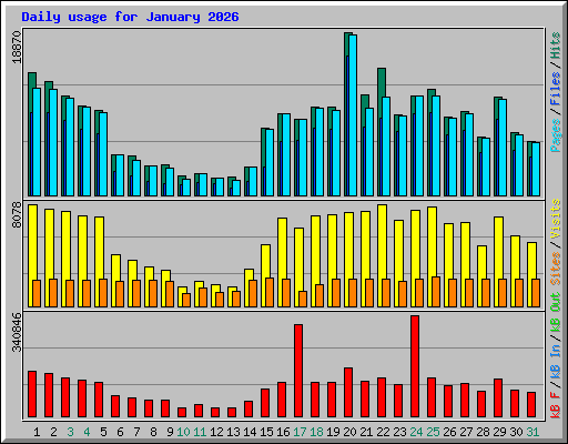 Daily usage for January 2026