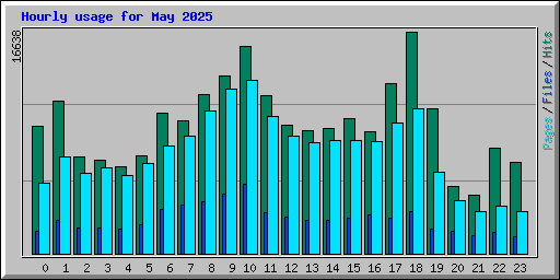 Hourly usage for May 2025