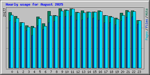 Hourly usage for August 2025