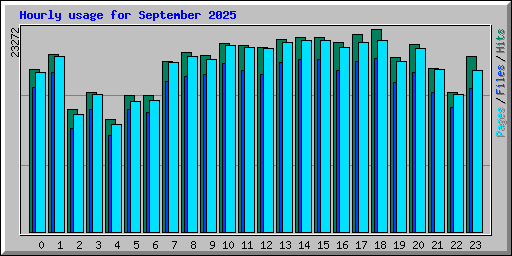 Hourly usage for September 2025