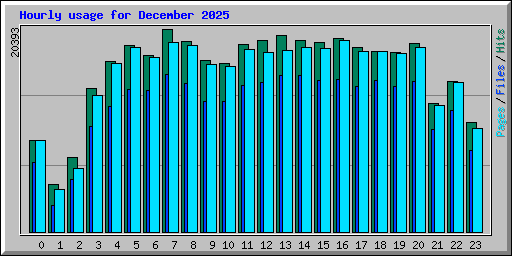 Hourly usage for December 2025