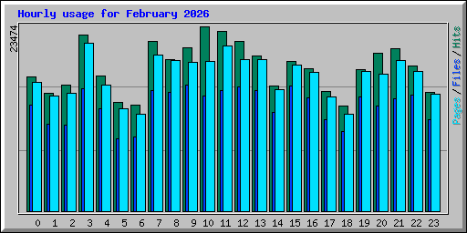 Hourly usage for February 2026