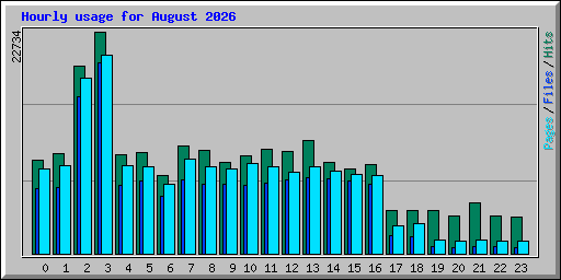 Hourly usage for August 2026