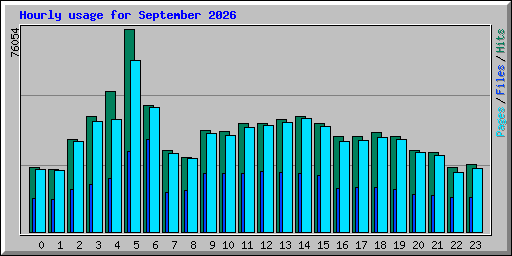 Hourly usage for September 2026
