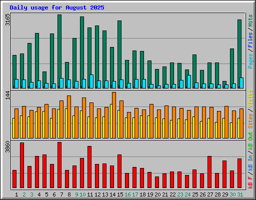 Daily usage for August 2025