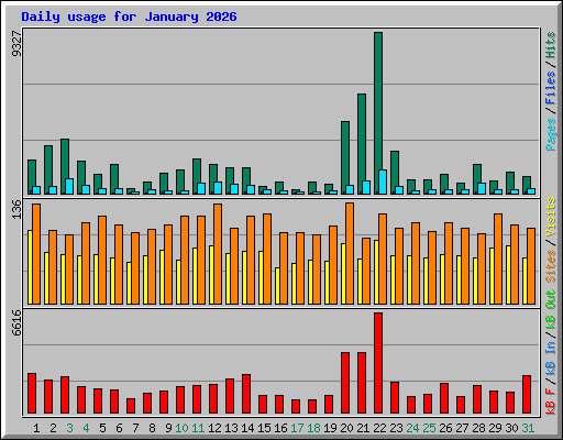 Daily usage for January 2026