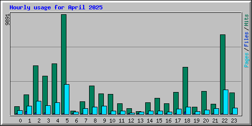 Hourly usage for April 2025