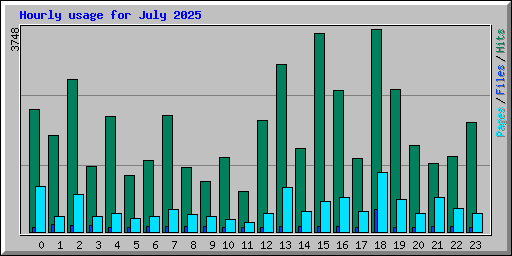 Hourly usage for July 2025