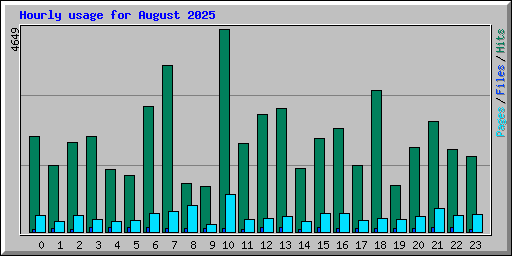 Hourly usage for August 2025