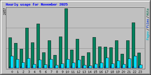 Hourly usage for November 2025