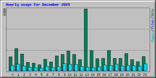 Hourly usage for December 2025