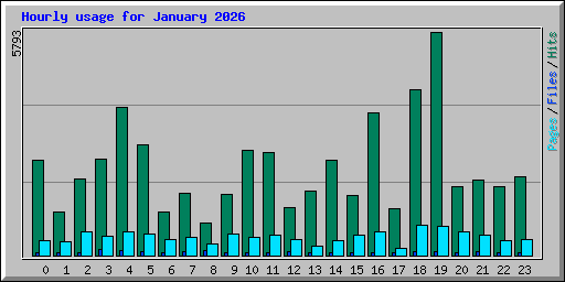 Hourly usage for January 2026