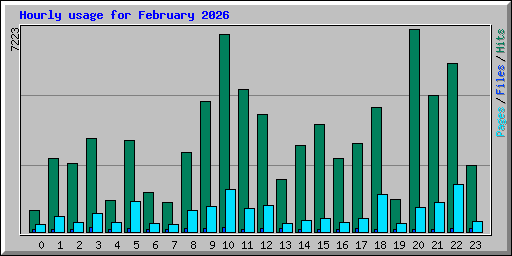 Hourly usage for February 2026