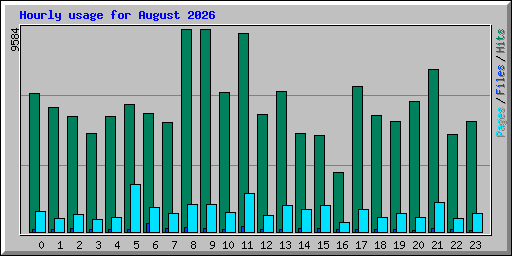 Hourly usage for August 2026