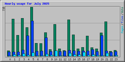 Hourly usage for July 2025