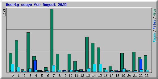 Hourly usage for August 2025