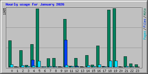 Hourly usage for January 2026