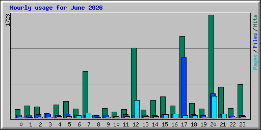 Hourly usage for June 2026