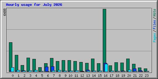 Hourly usage for July 2026