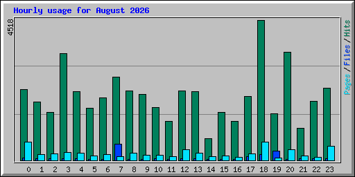 Hourly usage for August 2026